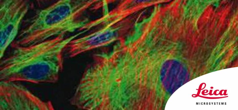 Create Publication Quality Fluorescence Microscopy Images With the Help of Leica Microsystems’ Science Lab Resource